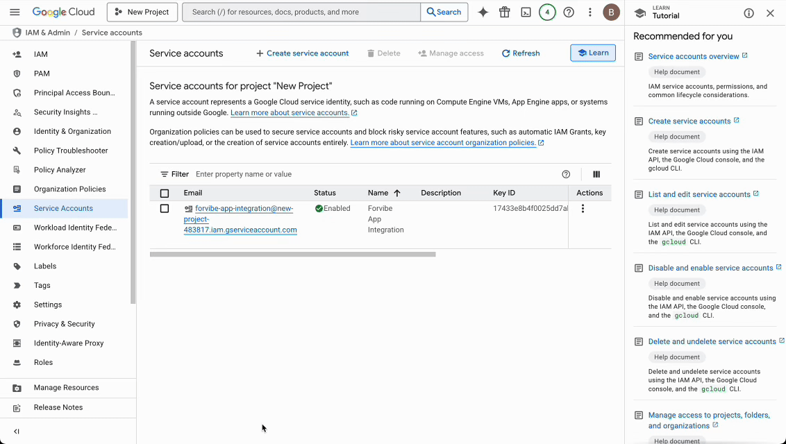Grant Service Account Access in Play Console